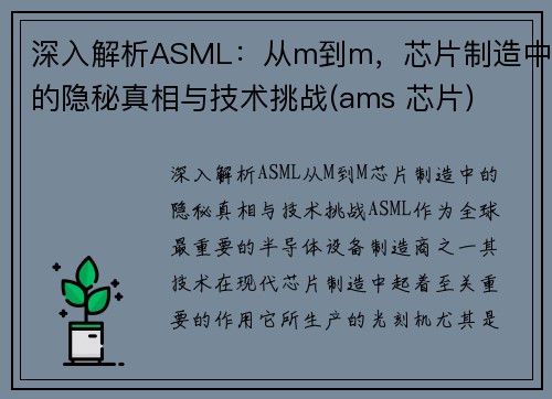 深入解析ASML：从m到m，芯片制造中的隐秘真相与技术挑战(ams 芯片)