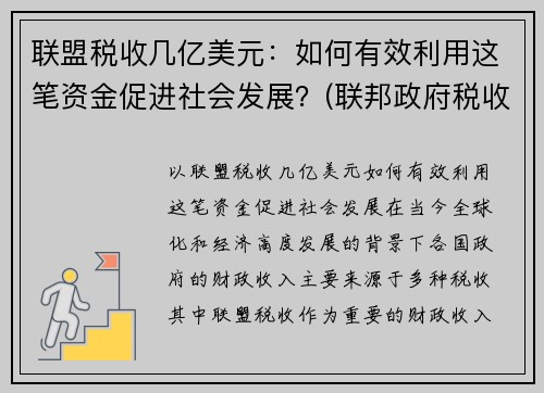 联盟税收几亿美元：如何有效利用这笔资金促进社会发展？(联邦政府税收来源)