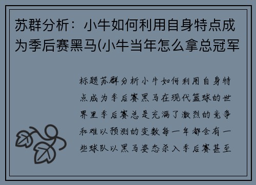 苏群分析：小牛如何利用自身特点成为季后赛黑马(小牛当年怎么拿总冠军的)